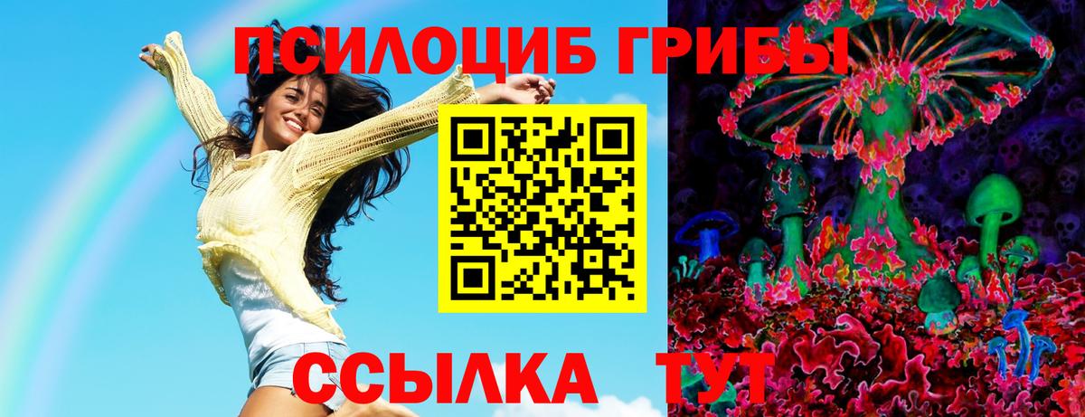 Псилоцибиновые грибы Psilocybe Красноармейск